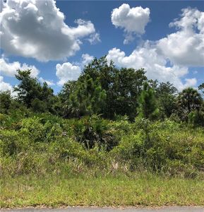 Hader Rd, North Pt, FL, 34288