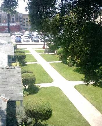 Picture Perfect View!