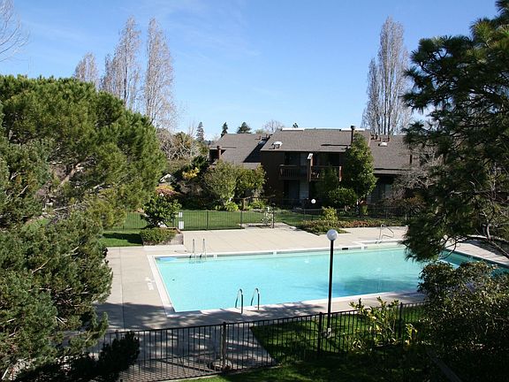 View To Pool