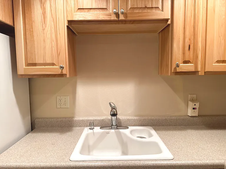 Additional kitchen (downstairs)