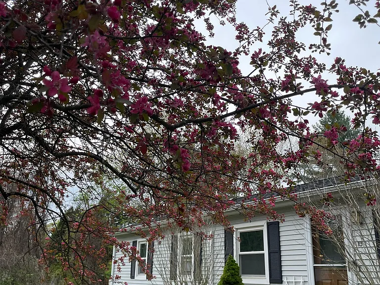 85 Longmeadow Dr — Photo 23