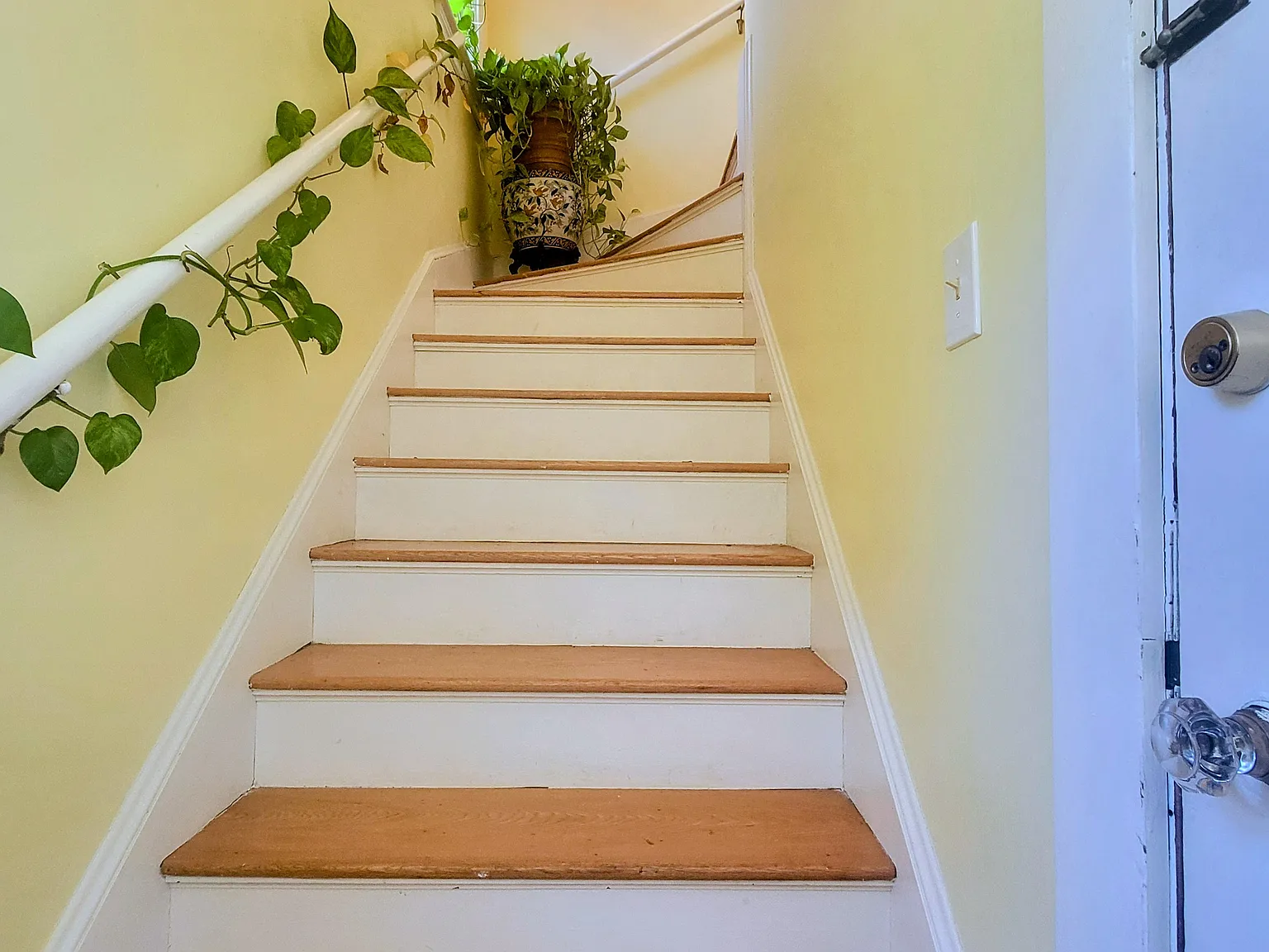 Front entrance staircase