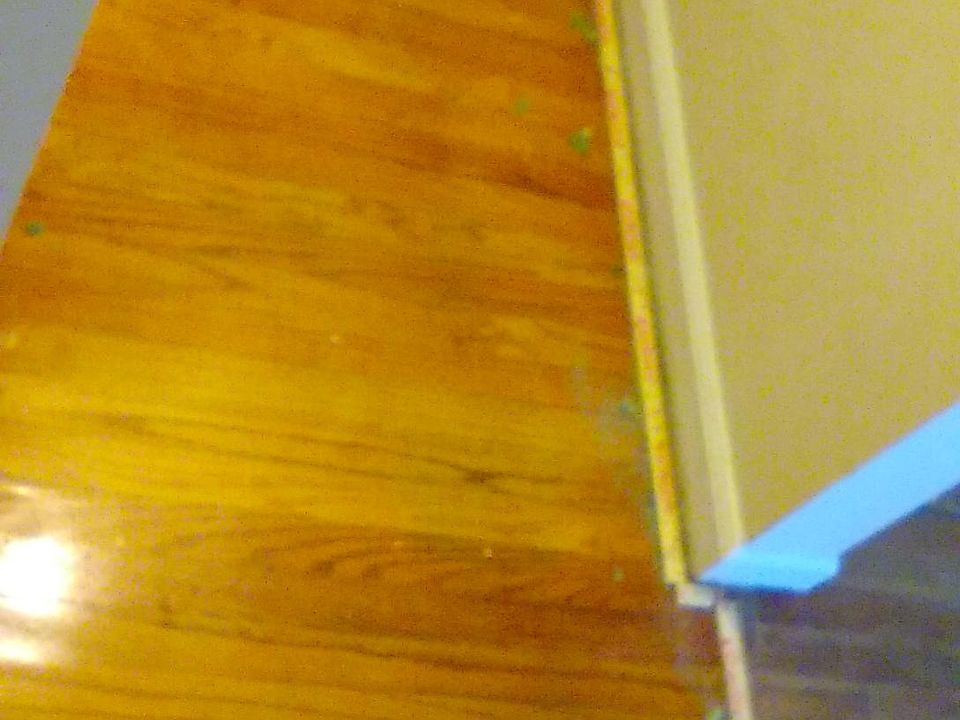 1st image of 1113 Ginger Cres