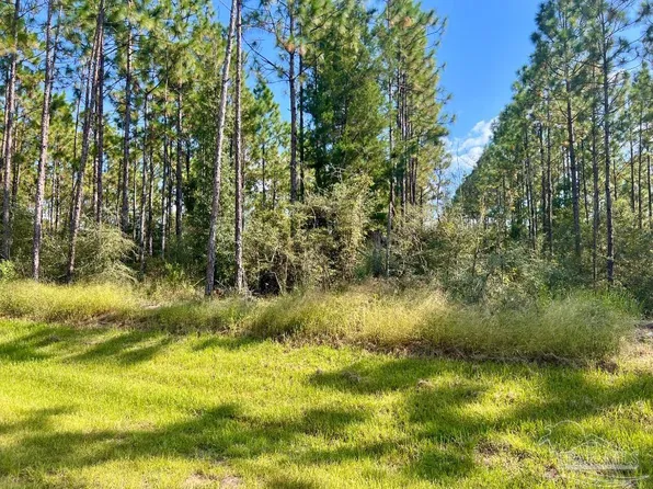 29 Morgan Ln, Molino, FL 32577