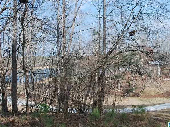 County Road 8023, Lineville, AL 36266