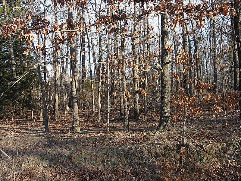 1st image of Dumfries Dr
