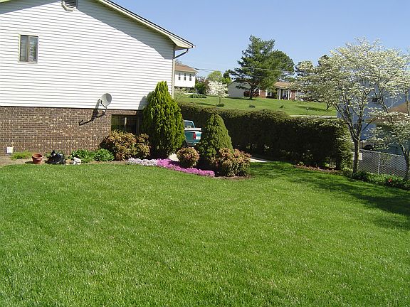 Back yard facing house