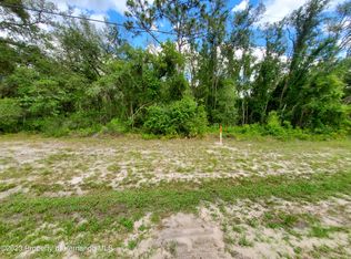 LOT 51 Treiman Blvd, Dade City, FL 33523
