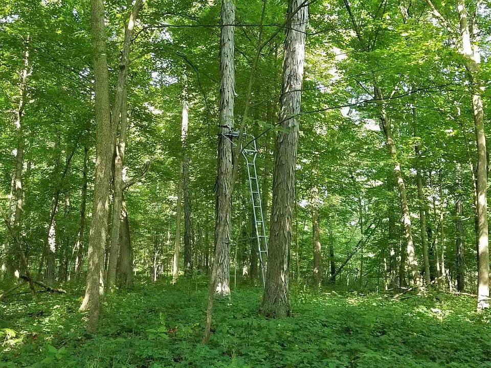 15 Acres-Great for Hunting