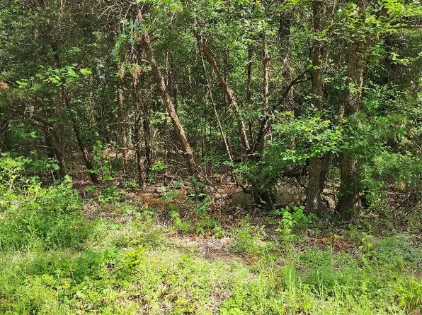 Shenandoah #Ii, Kemp, TX 75143