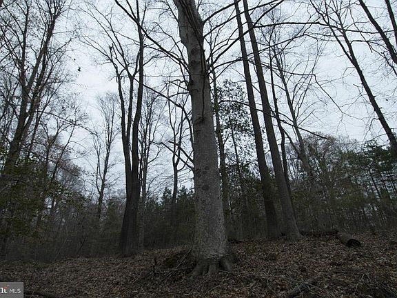 4th image of 36670 Knotts Ln