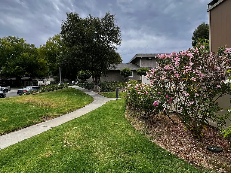 Conejo View Dr — Photo 15