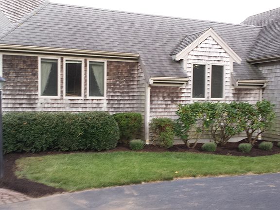 front yard