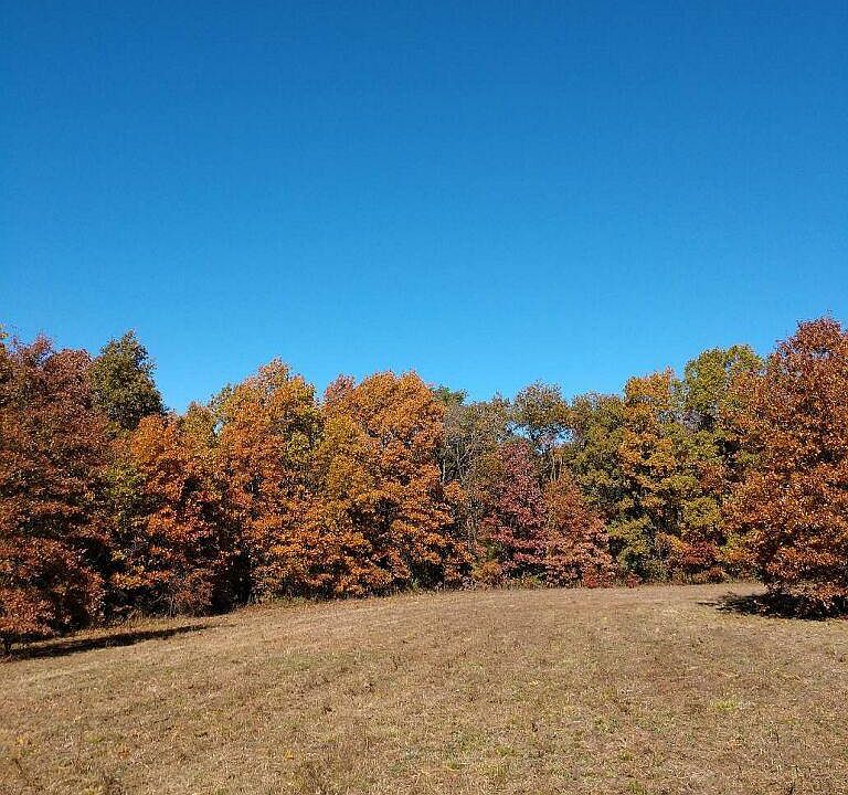 2nd image of 202 County Road 245