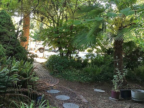 Path to the backyard