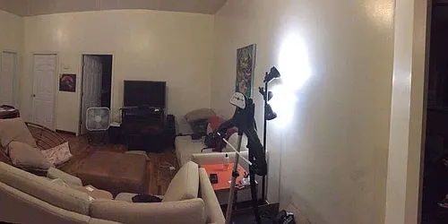 Rented by Brooklyn Group