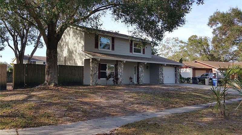 What Is Spanish Moss? - Tampa Tree