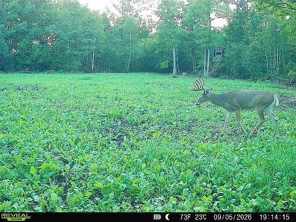 3rd image of 68/ACRE S Badger