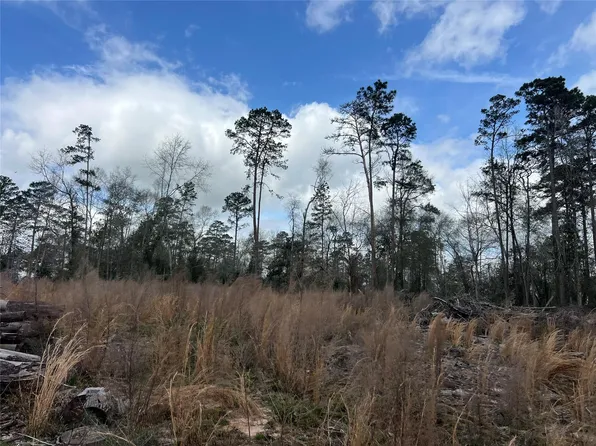 Three Bridges Rd, Livingston, TX 77351