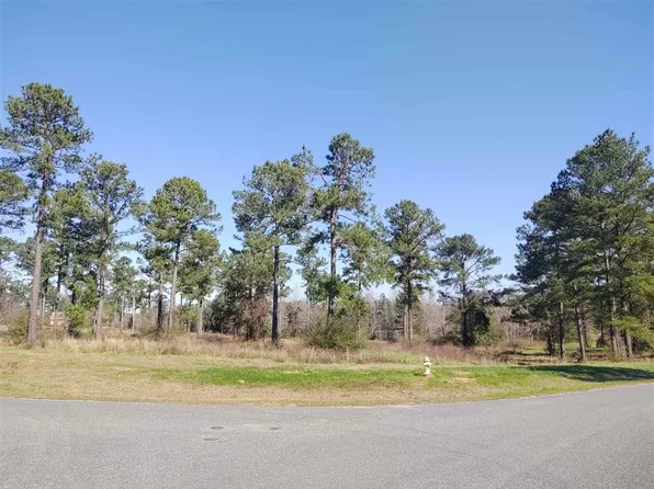 Twin Ponds Dr, Havana, FL 32333