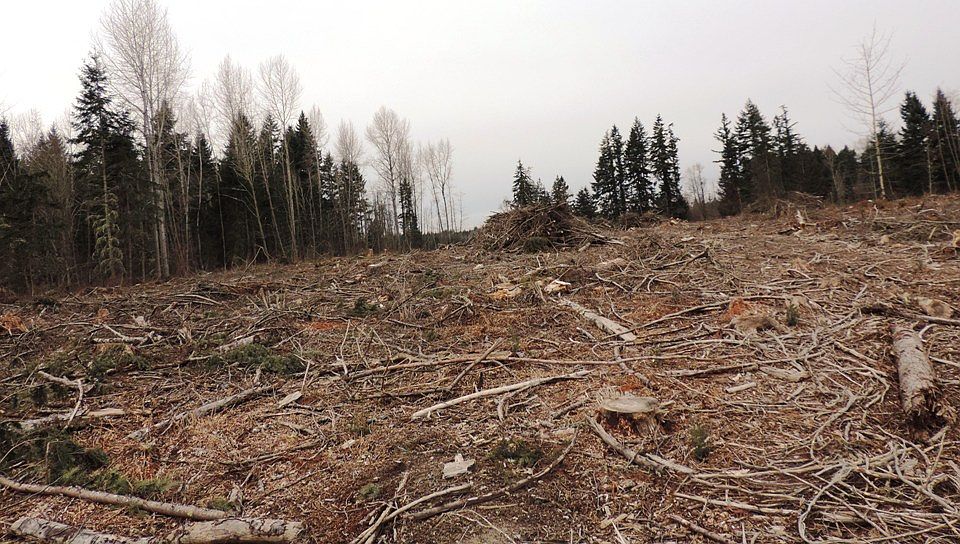 1st image of 35919 Eatonville Cutoff Rd E