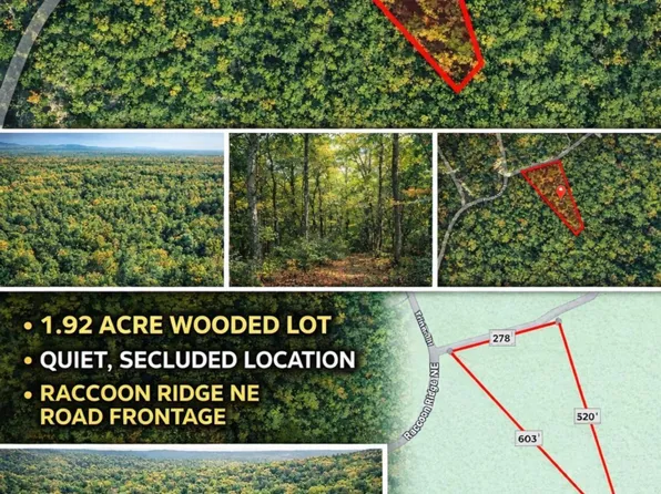 1022 Raccoon Rdg NE, Ranger, GA 30734