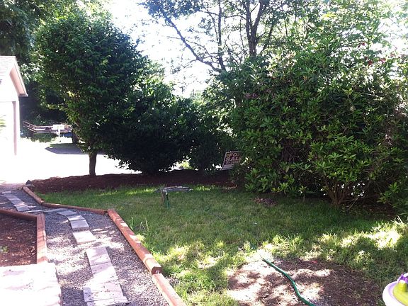 Front yard