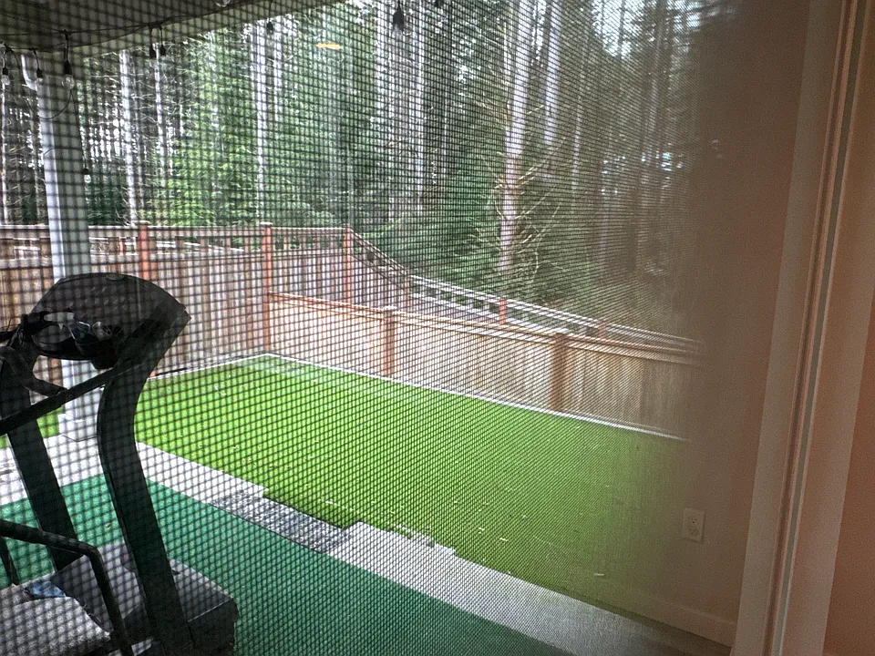 Back side patio