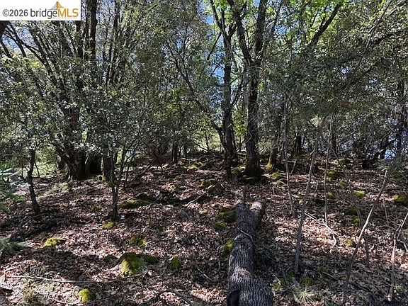 2nd image of 21344 Green Meadow Ln