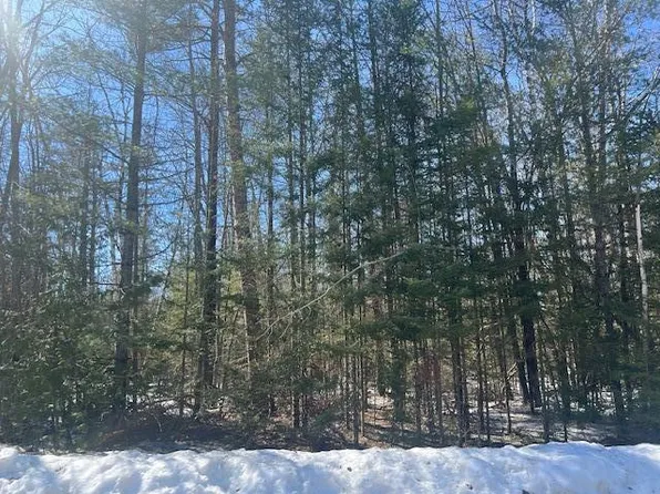 LOT 309 Northland Heights Dr, Presque Isle, MI 49777