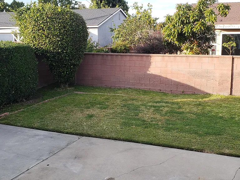Holly Way — Photo 12
