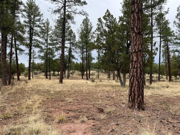Pcl B1 2 Pine Haven Dr, Pine, AZ 85544