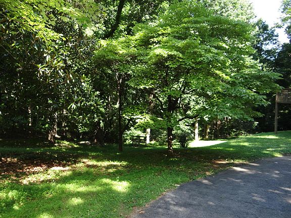 4th image of 6116 Homewood Cir