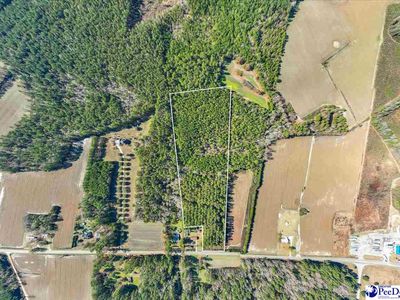 State Highway 403, Timmonsville, SC, 29161