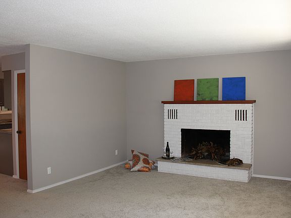 Wood burning fireplace