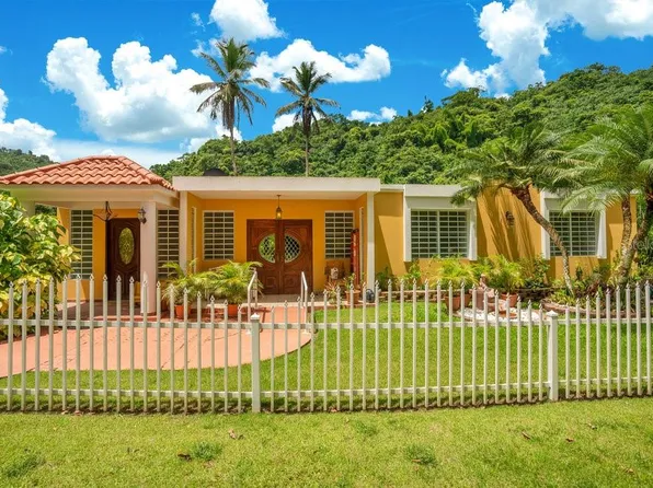 Road 123 Arenas Sec Chorreras Km #Bo-48.1, Utuado, PR 00641