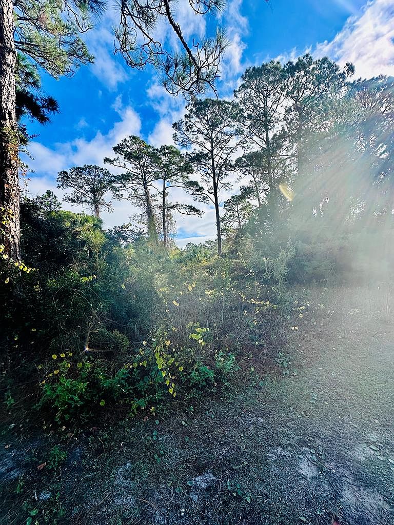 120 Laughing Gull Ln