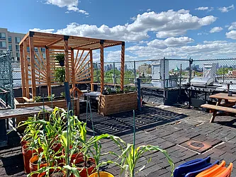 Rented by Brooklive Management/Deergrow Developments LLC