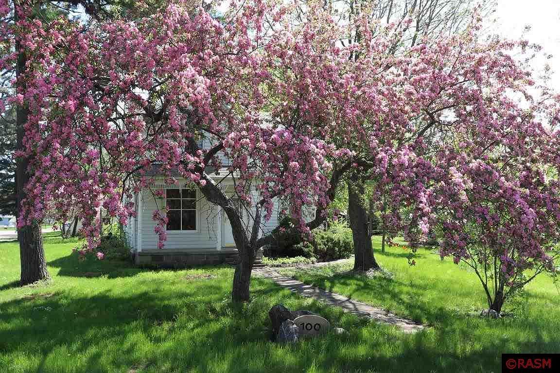 100 Ridgely St S, Kasota, MN 56050 Zillow