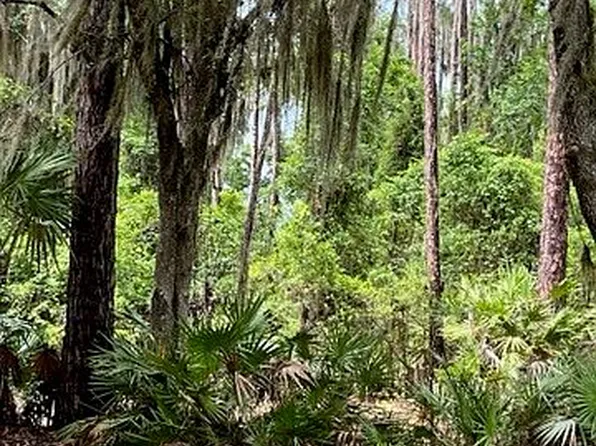 726 Cedar Creek Rd, Palatka, FL 32177