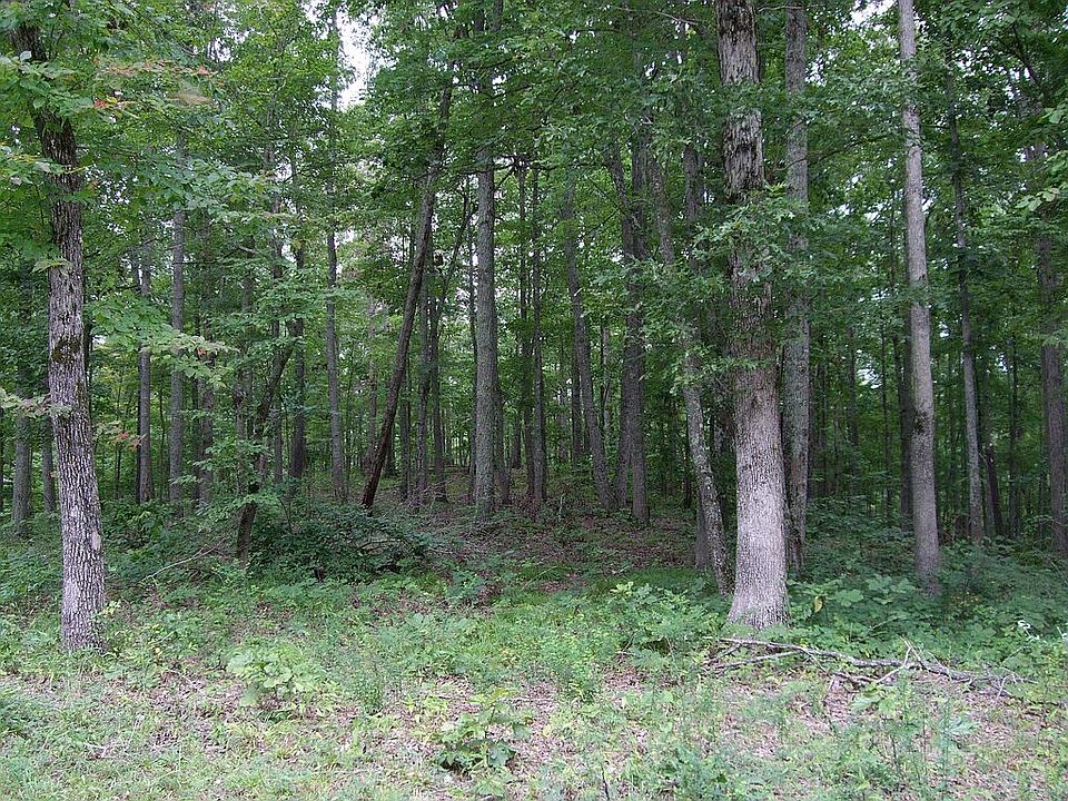 1st image of 245 Harbour Park Ln