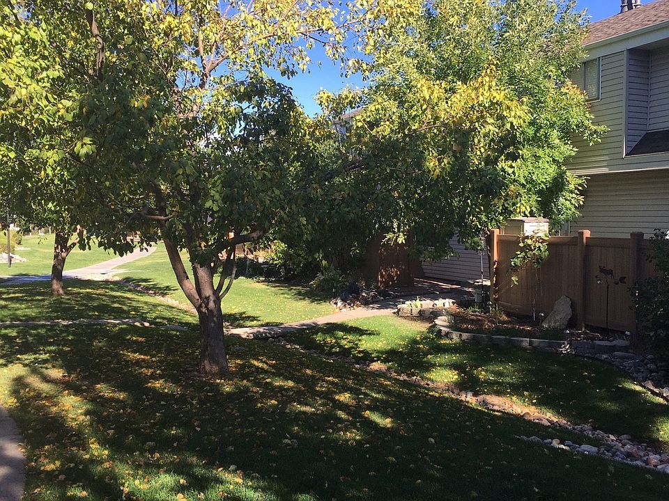 Front yard
