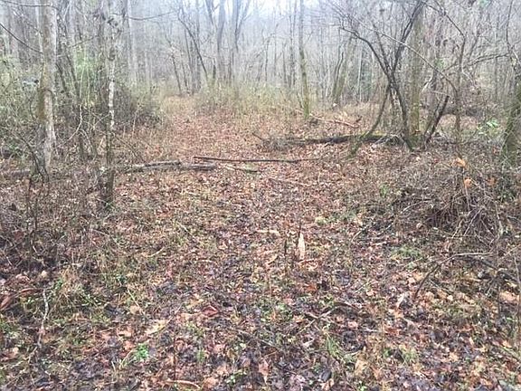 3rd image of Henson Ln