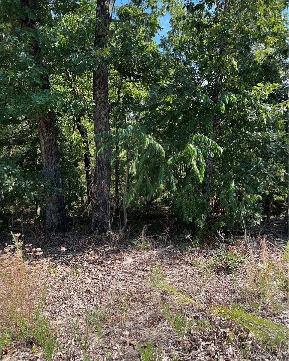 1st image of Kent Dr #31