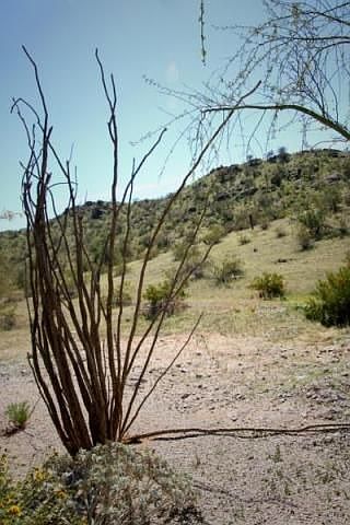 2nd image of 17724 W Paseo Way