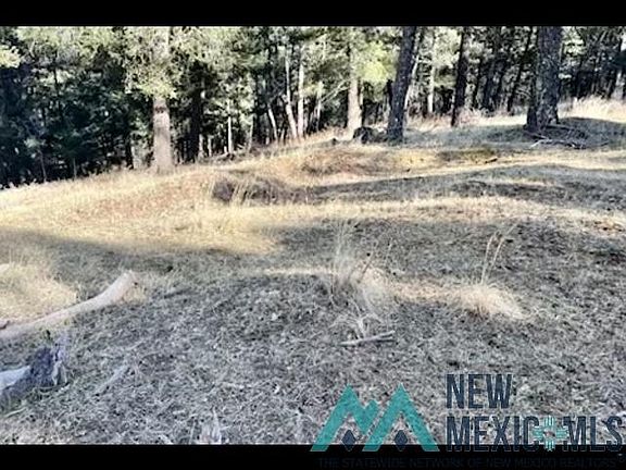 4th image of 5 Sandia Dr