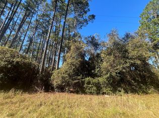 102 SE 2nd St #36, Georgetown, FL 32139