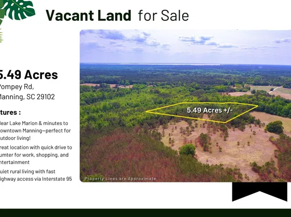 6 Pompey Rd, Manning, SC 29102