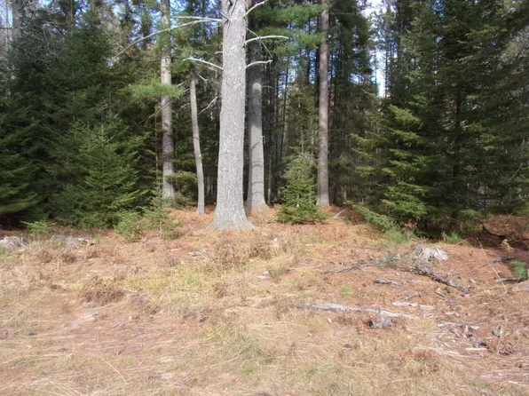 8072 Lost Lake Dr S, Saint Germain, WI 54558