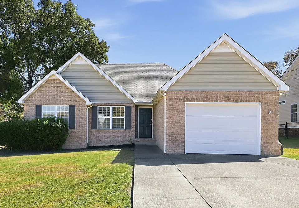 597 Butternut Trce